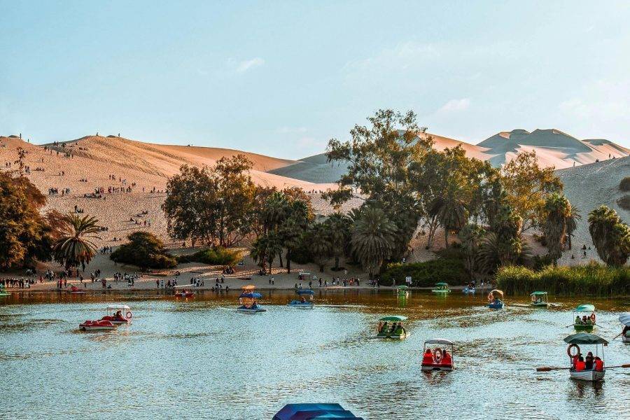ica paracas full day