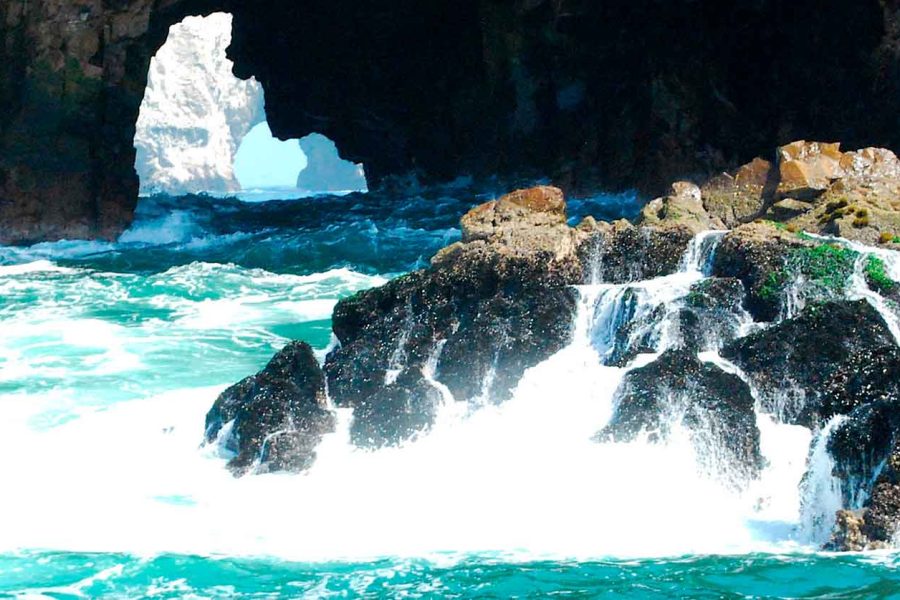 Tour Islas ballestas