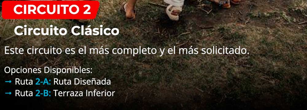 El circuito perfecto para tu visita a Machu Picchu (guía 2026) 44 El circuito perfecto para tu visita a Machu Picchu (guía 2026)